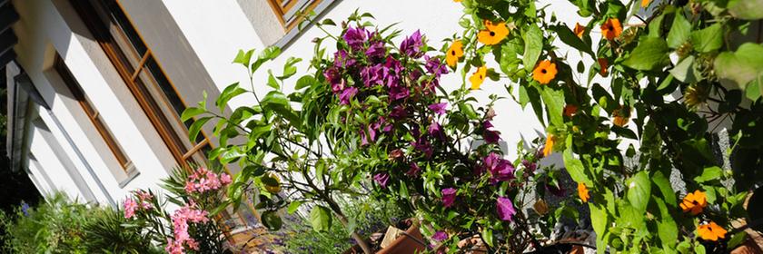 Mediterrane Terrasse