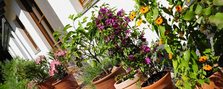 Mediterrane Terrasse