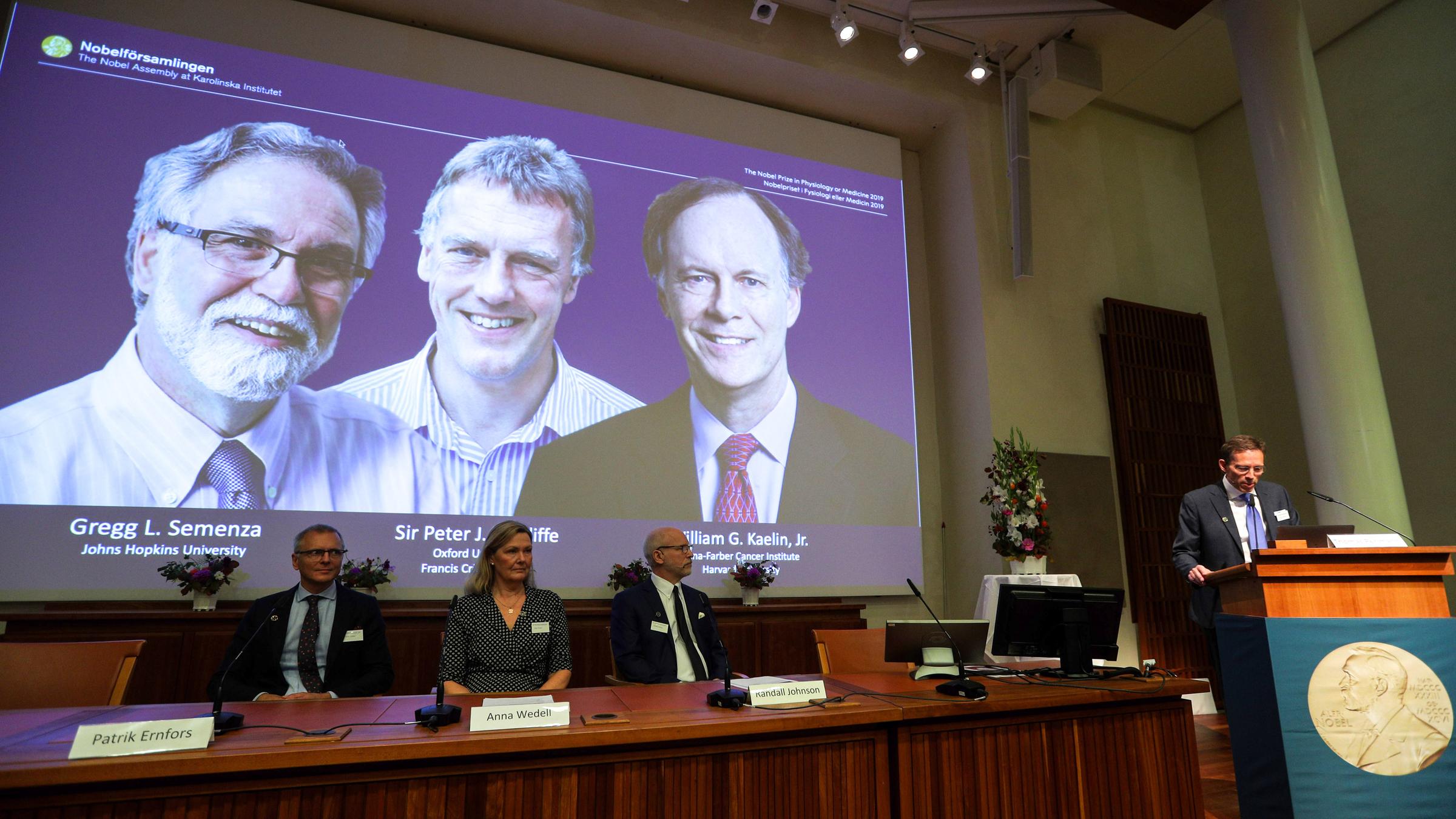 Medizin: Nobelpreis 2019