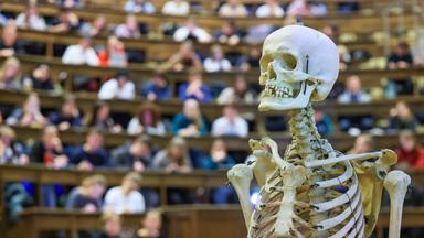 Medizinstudenten sitzen im Hörsaal Anatomie in einer Vorlesung.