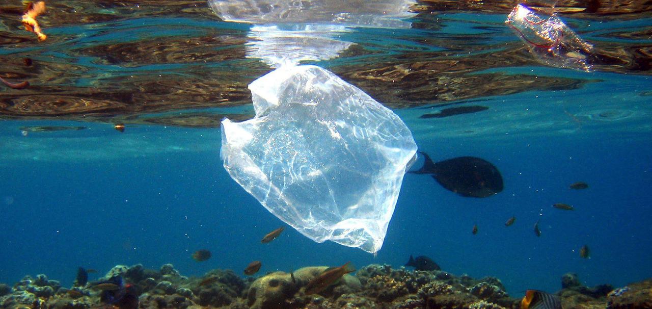 Plastiktüte an einem Korallenriff in Ägypten