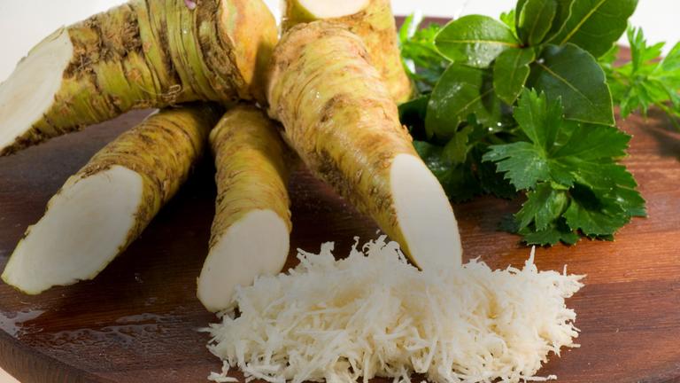 Vier Meerrettiche liegen übereinander. Die aufgeschnittene Seite zeigt jeweils Richtung Kamera. Im Vordergrund befindet sich geraspelter Meerrettich.