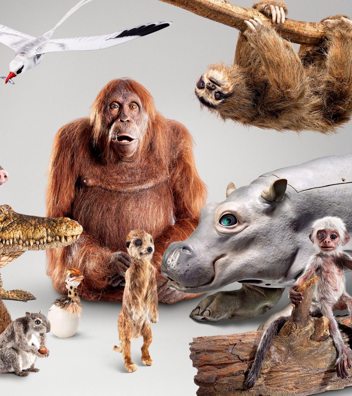 Animatroniks im Überblick