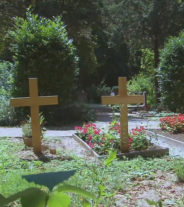 Drei Gräber nebeneinander auf einem Friedhof.