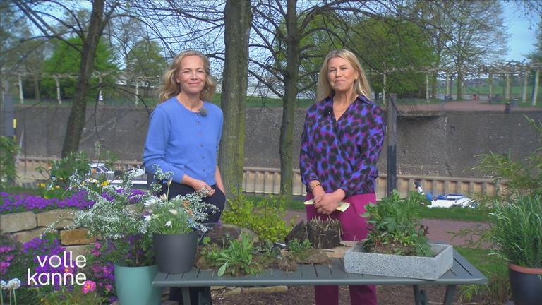 Anja Koenzen und Nadine Krüger im "Volle Kanne"-Garten