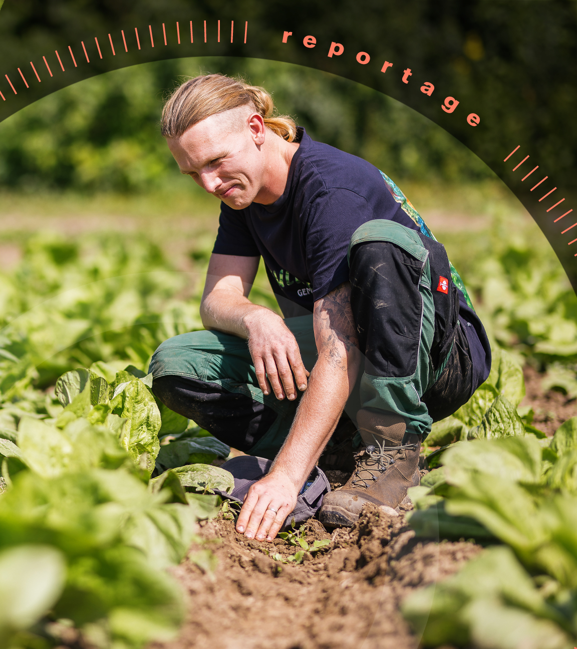 Biobauer Matthias Kuhn prüft auf seinem Feld die Entwicklung der Pflanzen.