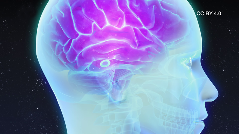 Melatoninausschüttung CC