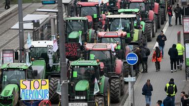 Tausende Bauern protestieren vor EU-Parlament