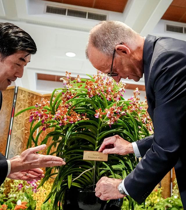 : Bundeskanzler Friedrich Merz (CDU) steckt ein Namensschild mit der Aufschrift Vanda - Friedrich Merz in den Topf mit einer Orchidee bei seinem Besuch beim Premierminister der Republik Singapur (nicht im Bild).