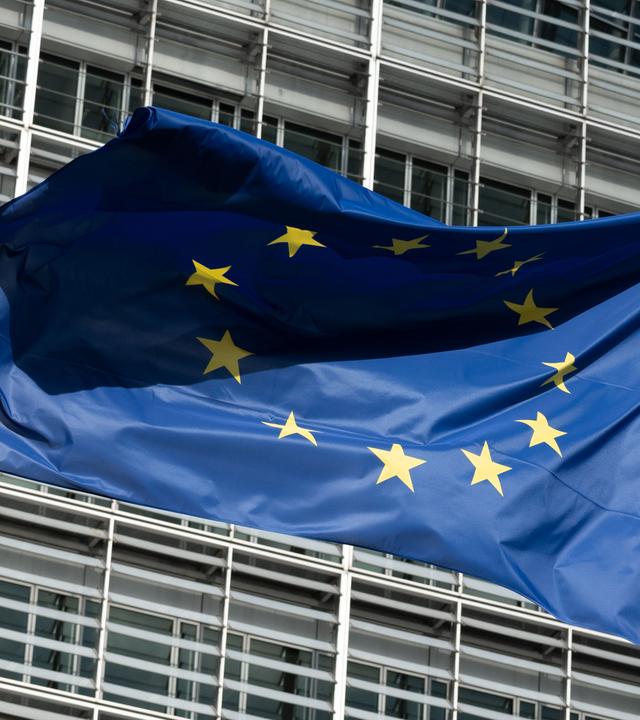 EU-Flagge im Wind