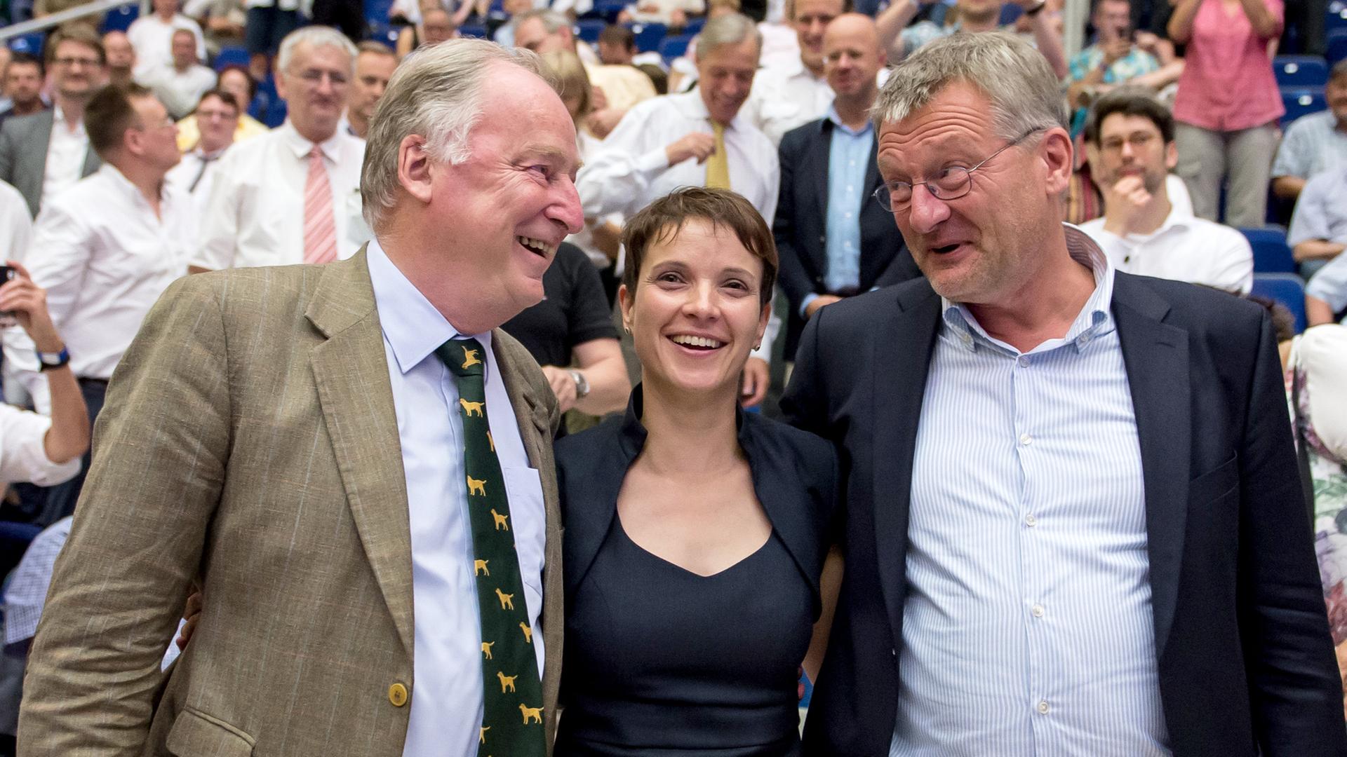 Meuthen und Petry beim AfD-Parteitag 2015