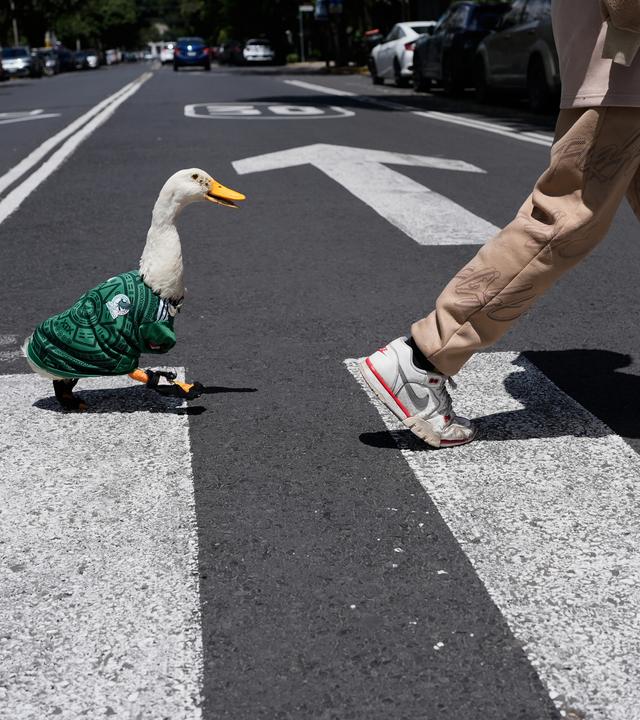 Ente Merlin und Besitzer Christian Gomez am 15.06.26