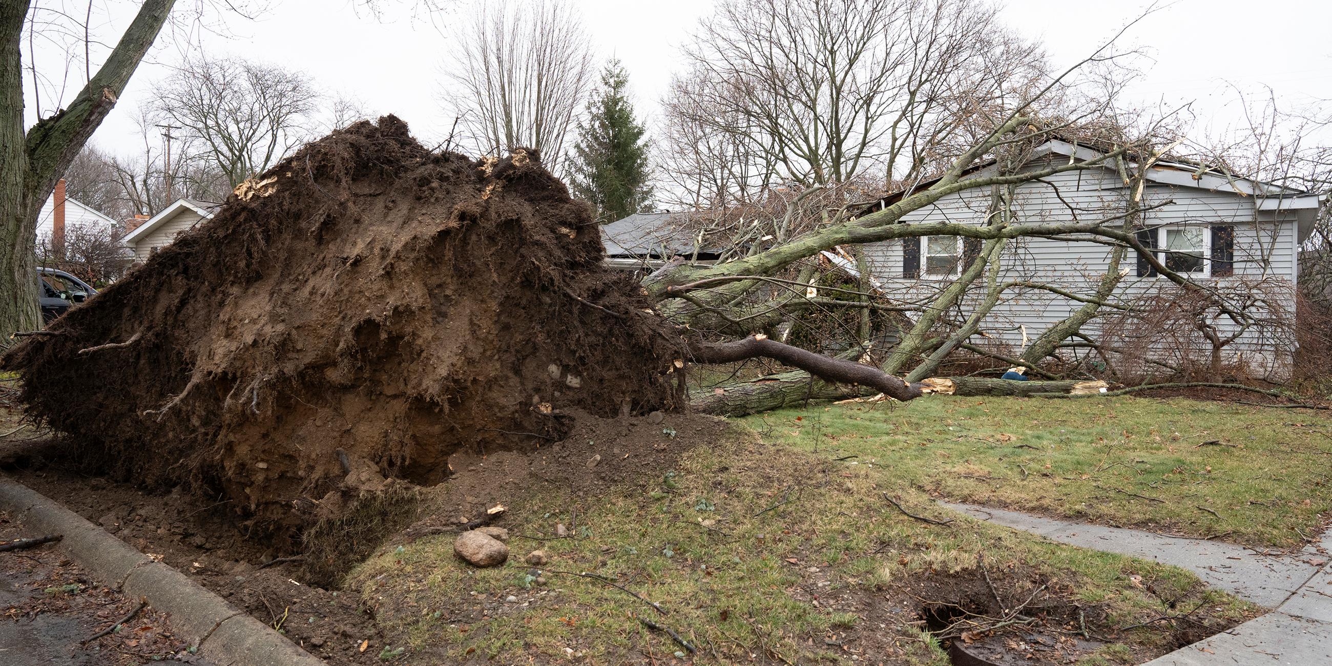 Sturm in Michigan