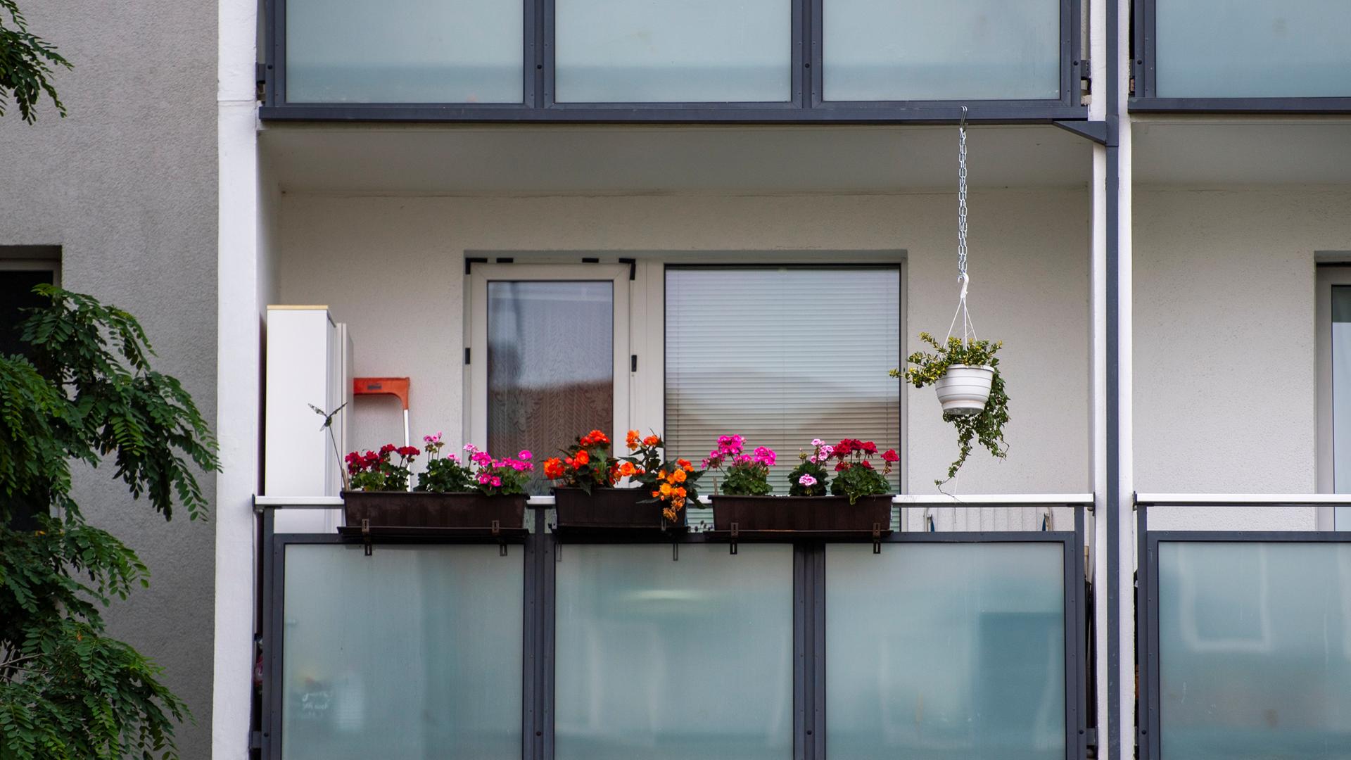 Auf dem Balkon eines Mietshauses in Berlin stehen Blumen. 