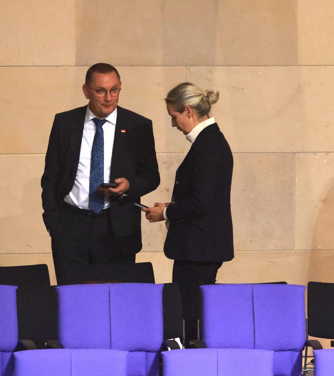 Friedrich Merz geht an Alice Weidel und Tino Crupalla vorbei.