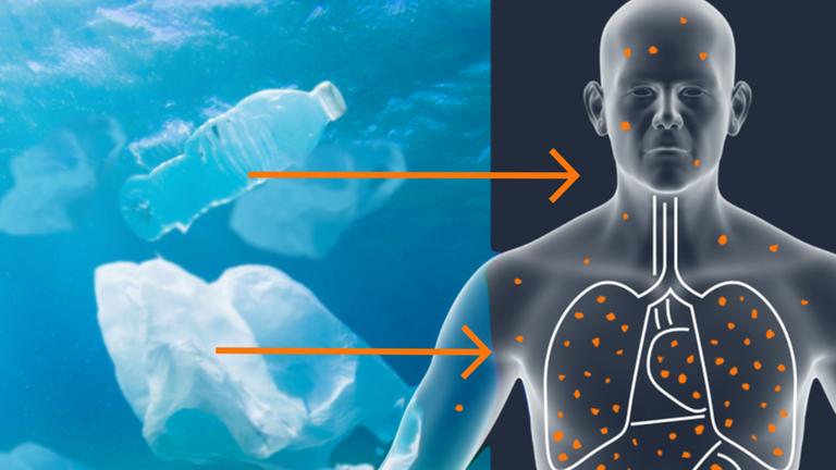 Grafiken erklären Entstehung und Verteilung des Mikroplastiks 