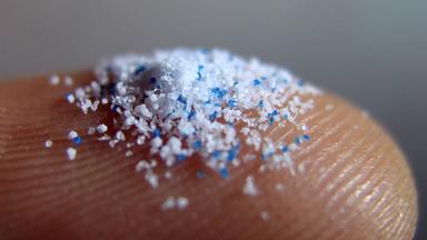 Mikroplastik - kleine Kunststoffpartikel auf einer Fingerspitze.