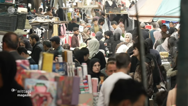 mimareporter-iran
