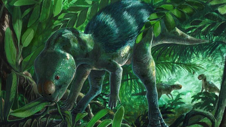 Künstlerische Darstellung des Mini-Dinosauriers Foskeia pelendonum