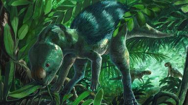 Mini-Dinosaurier: Spannender Fund in Spanien