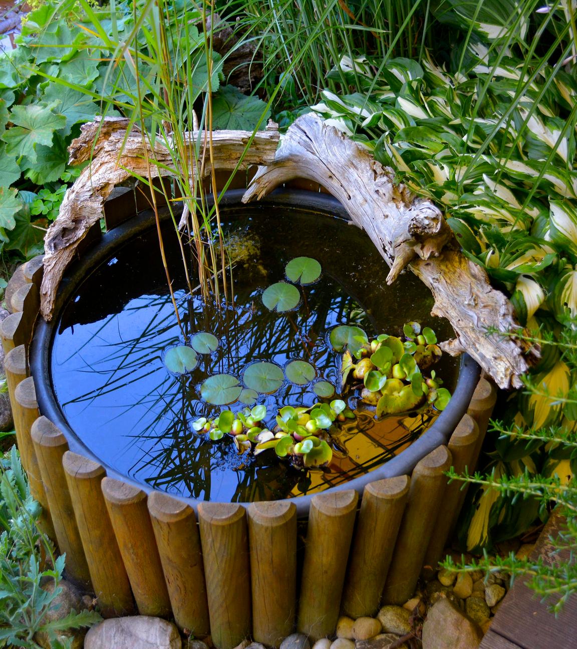 Ein kleiner, runder Miniteich mit Wasserpflanzen steht auf einer Terasse in einem Garten und ist von Gartenpflanzen umgeben.