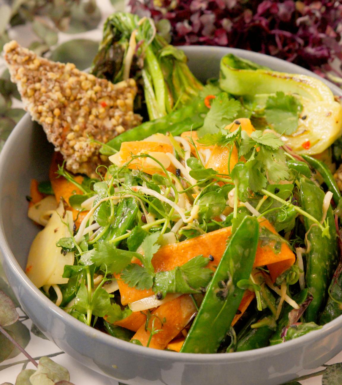 Miso-Salat mit Microgreens