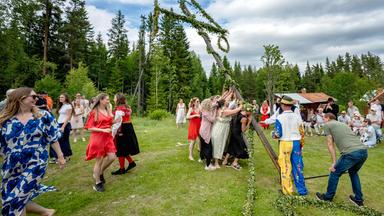 Teilnehmer der Mittsommerfeierlichkeiten stellen gemeinsam den Mittsommerbaum in der schwedischen Almsiedlung Mörtbuvikens auf.
