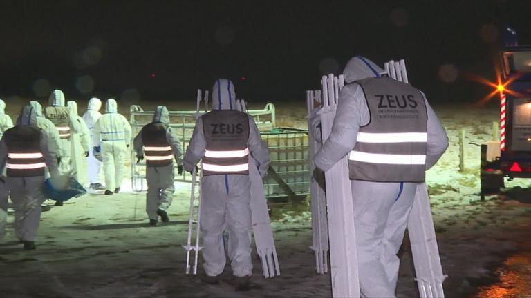 Maul und Klauenseuche breitet sich weiter aus