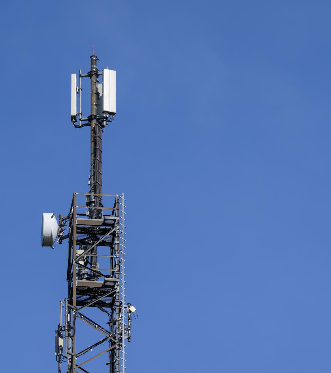 Brandenburg, Forst: Ein Sendemast für Mobilfunk.