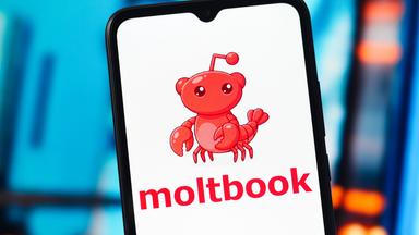 Social Media für KI: Meilenstein oder heiße Luft?