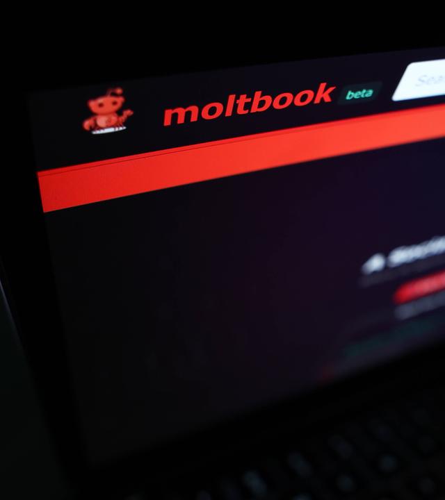 Die Moltbook-Website ist auf einem Laptop-Bildschirm am 05.02.2026 in Krakau, Polen, zu sehen. 