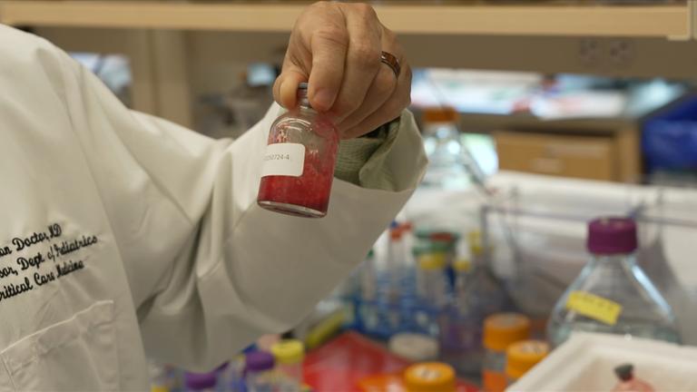 moma future: Blut in Pulverform