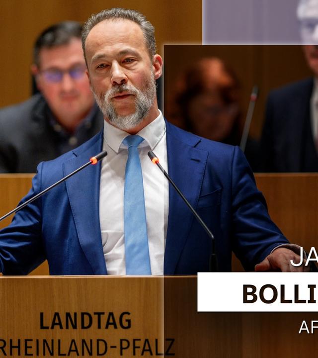 moma-vor-der-wahl-jan-bollinger-steckbrief-