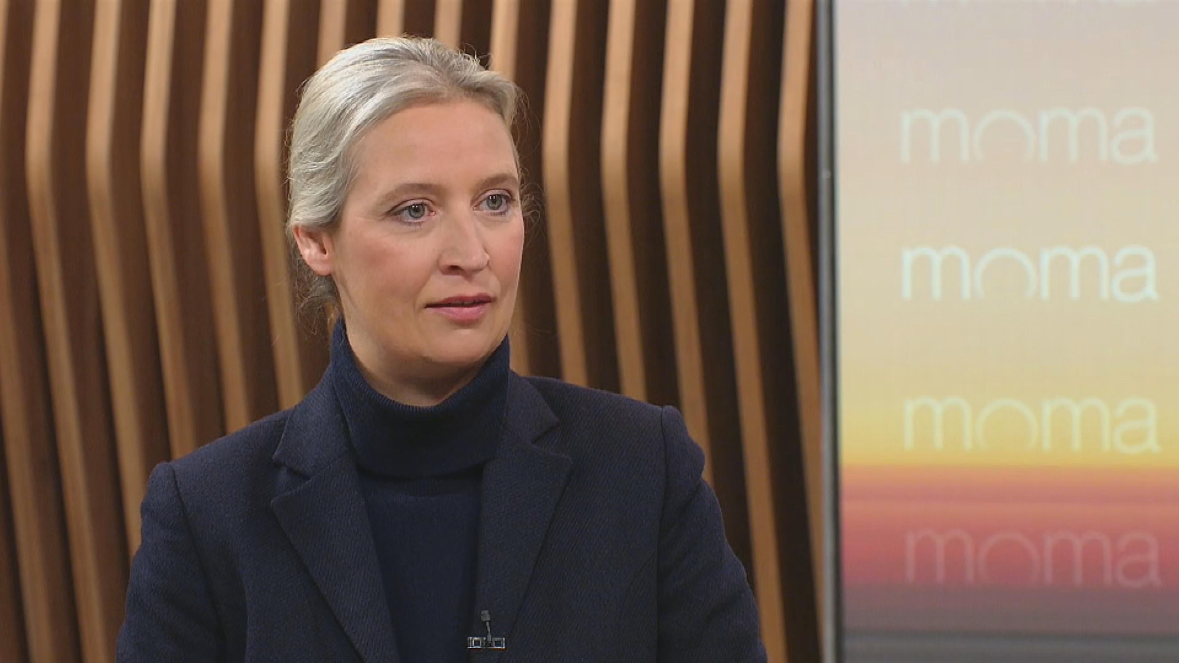 Alice Weidel im ZDF-Morgenmagazin