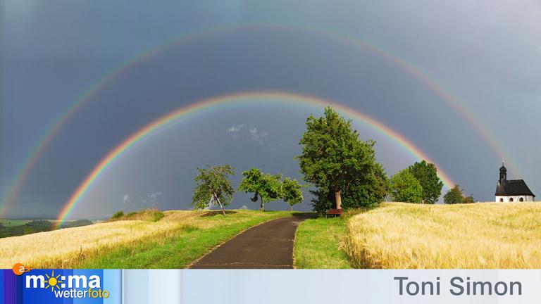 Gewinnerfoto vom 18. Juni 2020