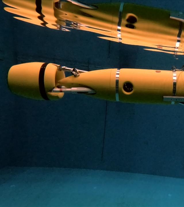 moma future: KI und Unterwasser-Robotik