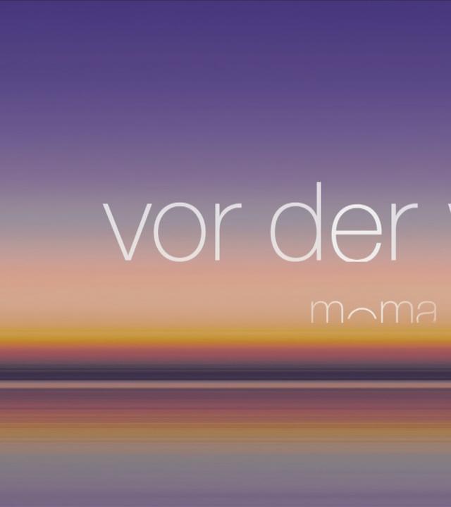 moma vor der wahl: Brandenburg