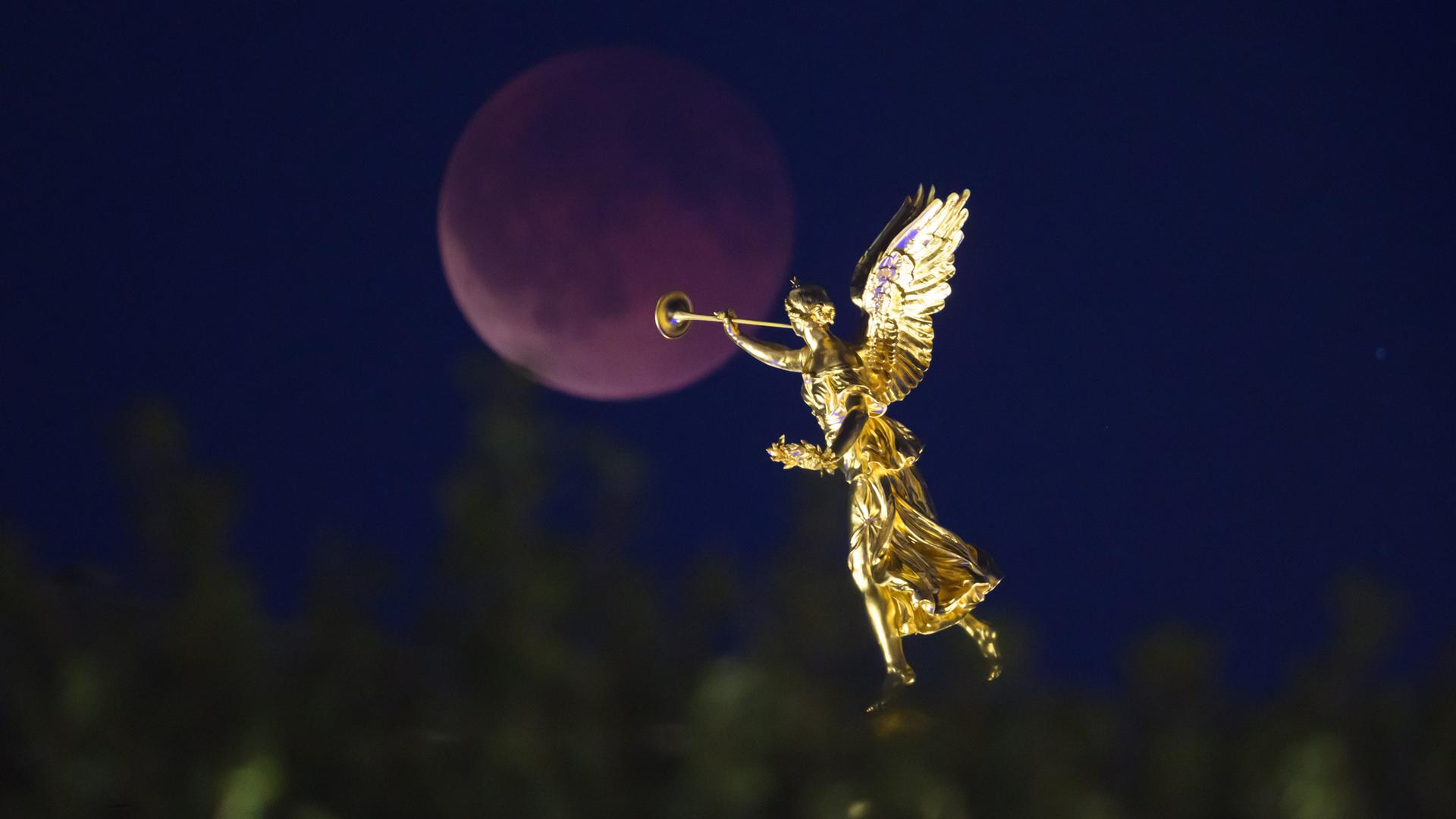 Totale Mondfinsternis in Dresden