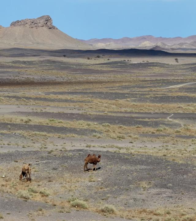 Mongolei
