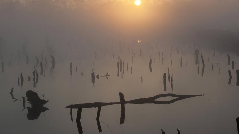 Symbolbild: Sonnenaufgang im Venner Moor