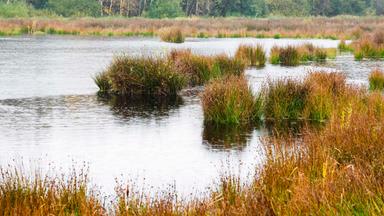 Natürlicher Klimaschützer für Jahrtausende