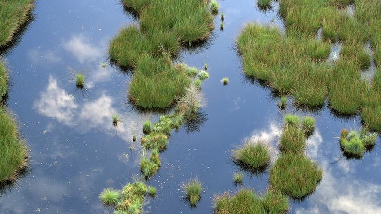 Moorlandschaft aus der Vogelperspektive
