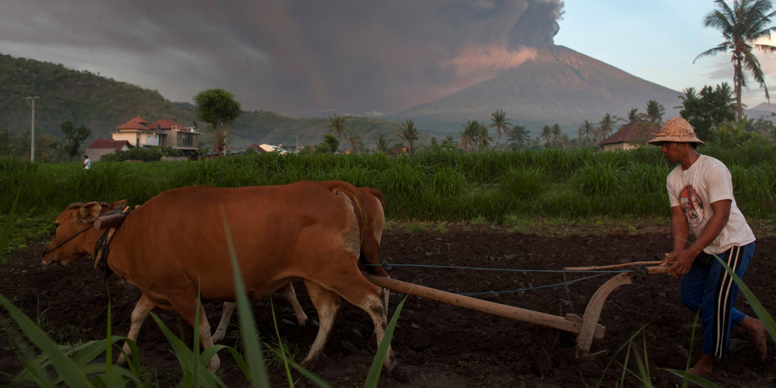 Ein Landwirt bei der Arbeit auf Bali, im Hintergrund der Mount Agung am 26.11.2017