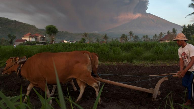 Ein Landwirt bei der Arbeit auf Bali, im Hintergrund der Mount Agung am 26.11.2017