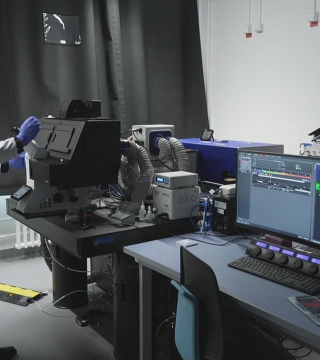 Forscher bei der Arbeit zu mRNA-Molekülen gegen Krebs