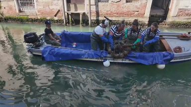 Freiwillige sammeln Müll