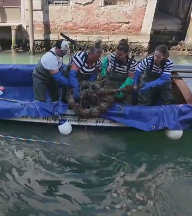 Venedig: Freiwiliige befreien die Kanäle von Schrott und Müll.