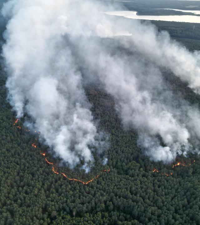 Rauchsäulen stehen über einer brennenden Waldfläche im Müritz-Nationalpark.