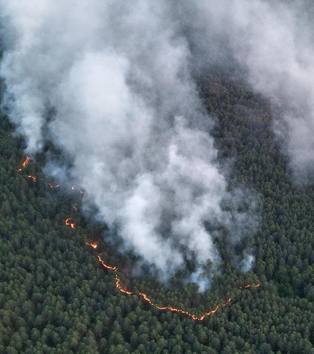 Müritz-Waldbrand