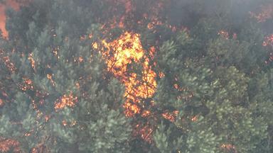 Müritz-Waldbrand